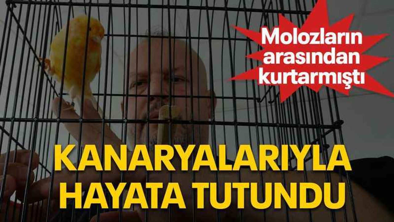 Molozların arasından kurtarmıştı kanaryalarıyla hayata tutundu